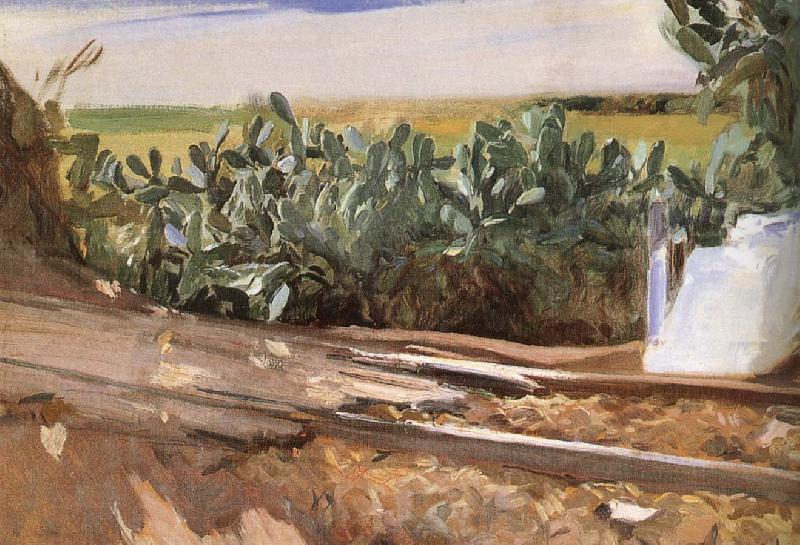 Joaquin Sorolla Roadside grass oil painting image